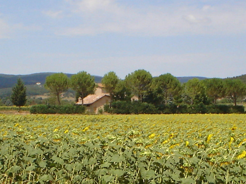 Casale il Colombaio di Toiano