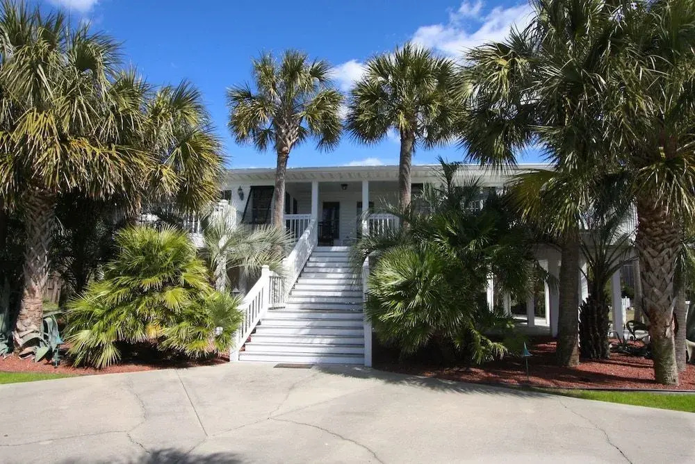 Fifty Palms by RedAwning