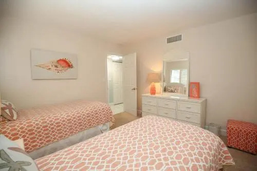 Sanddollar #C104