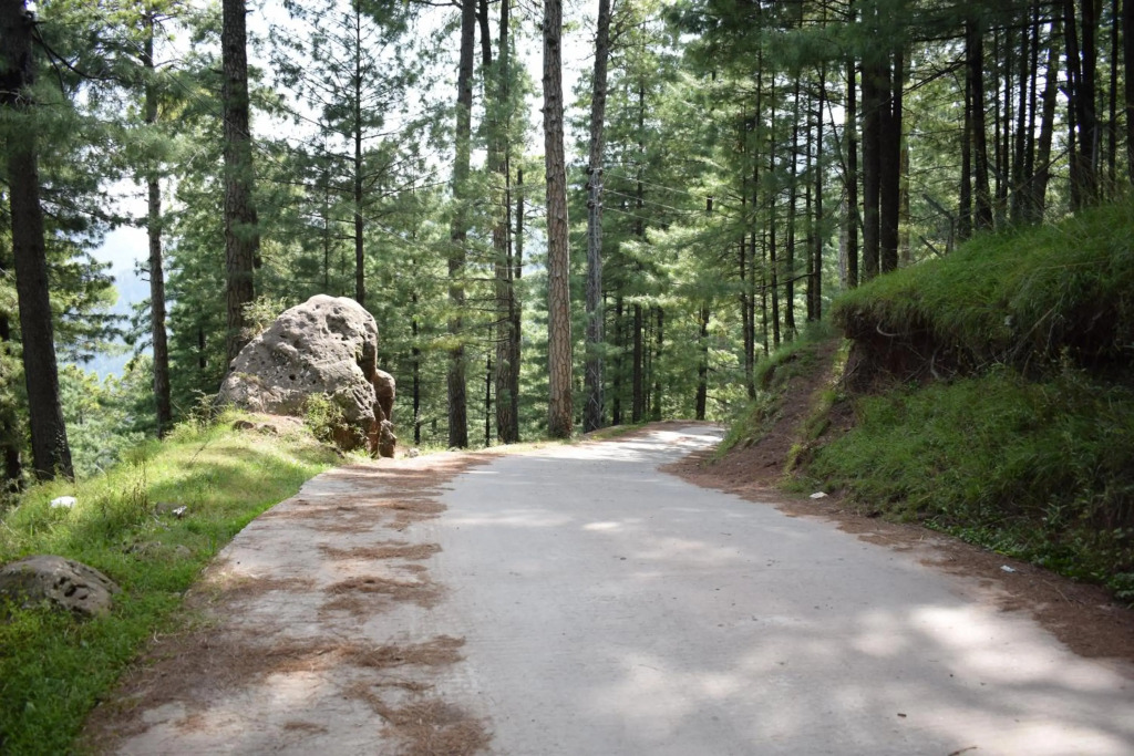 Murree home Gharial camp