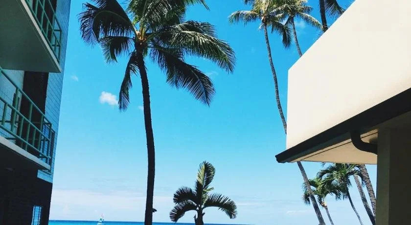 Diamond Head Beach Hotel
