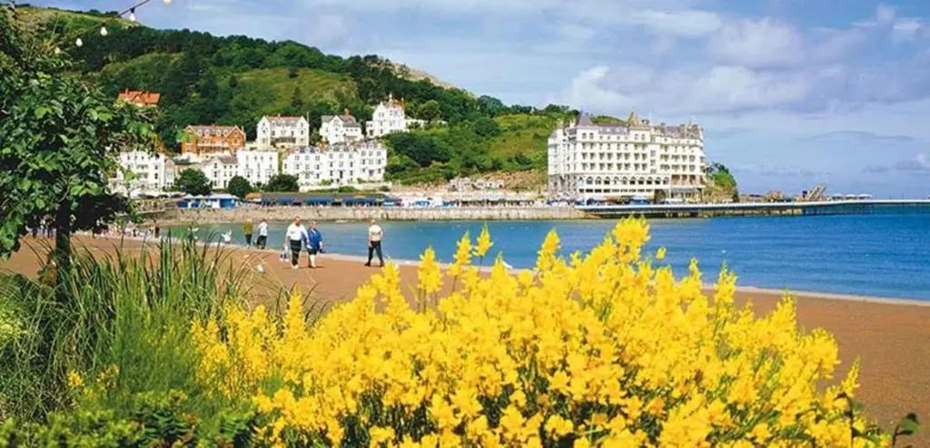 The Grand Hotel