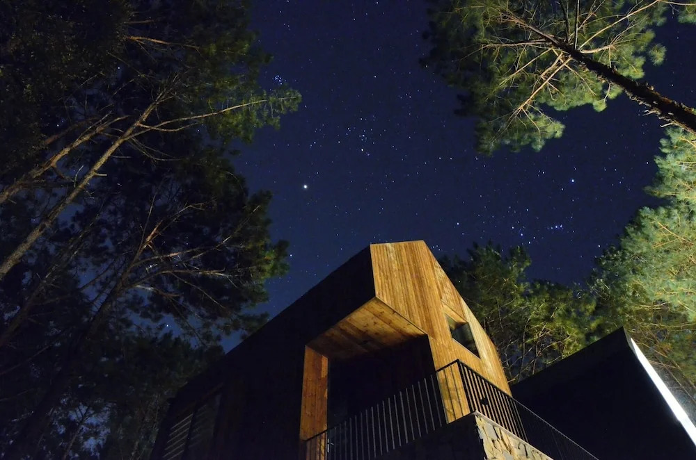 Mơ Stay - Forest Resort