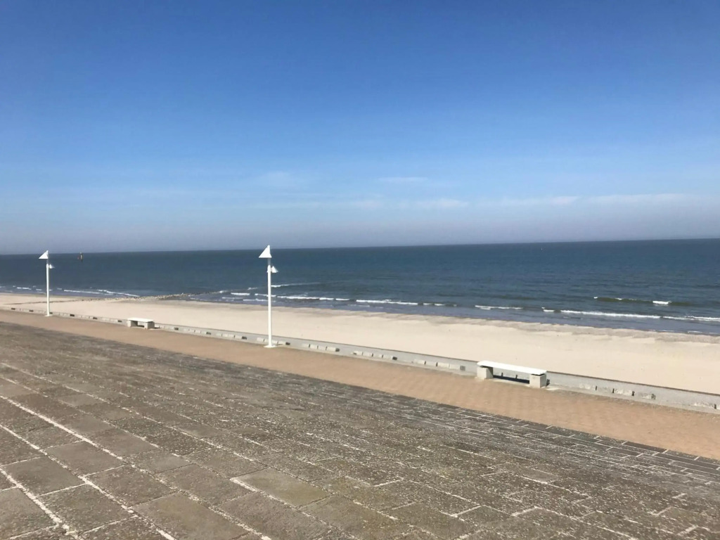 Dünenrose am Nordstrand