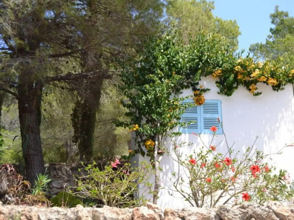 Can Mateu Casa