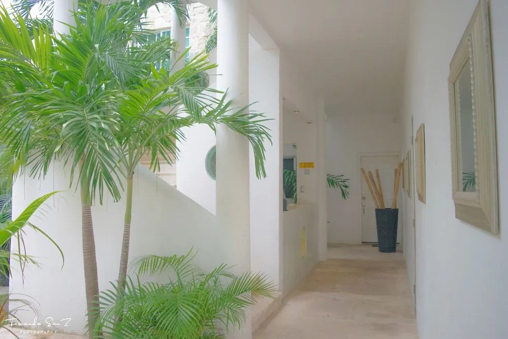 Nasim Condo Hotel con acceso BEACH CLUB GRATIS, metros 5th AVENIDA