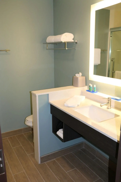 Holiday Inn Express & Suites - Hendersonville SE - Flat Rock by IHG