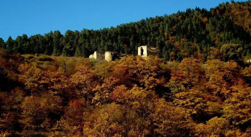 Guest House Tower
