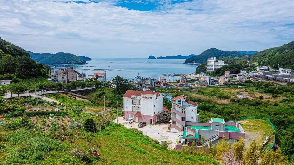 Skyari Pension