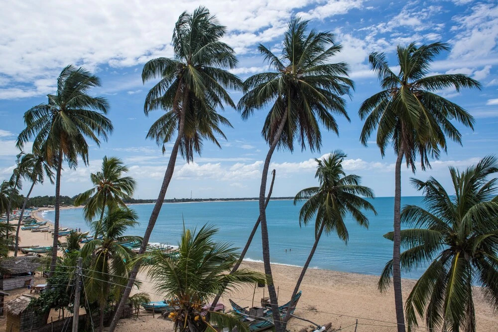 Rupa's Hotel Arugambay