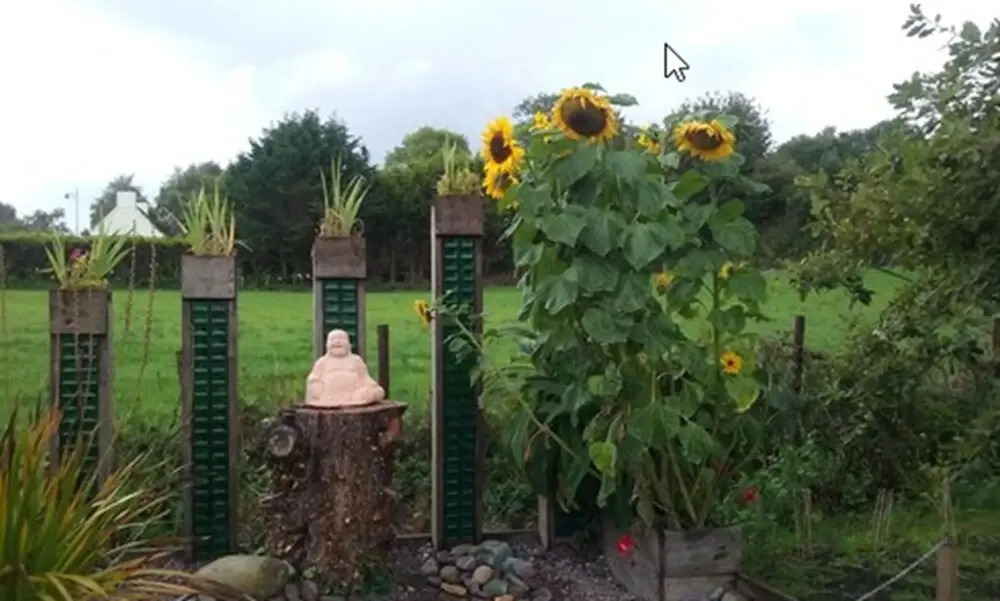 The Rose Garden Bed & Breakfast and Cafe