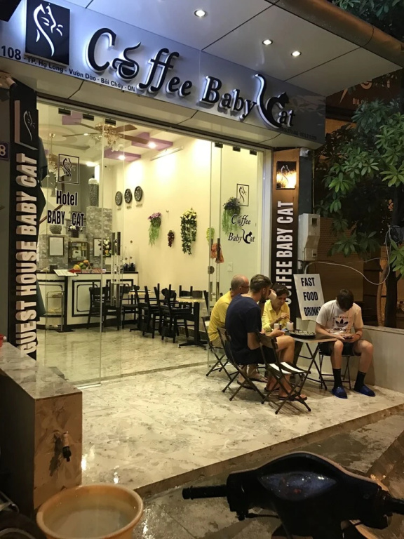 Babycat Guesthouse & Cafe