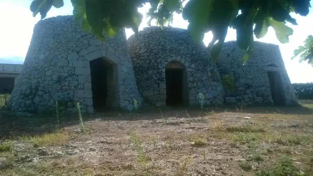 il giardino fiorito, colori e profumi a due passi dal mare