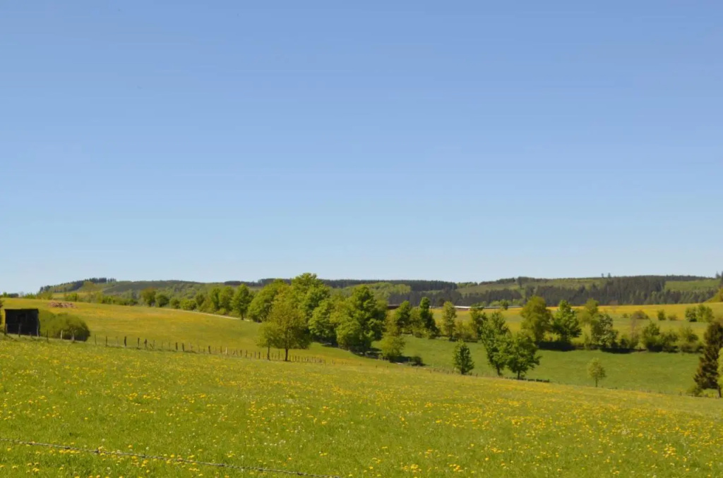 Ferienwohnungen Ambiente-Schmidt