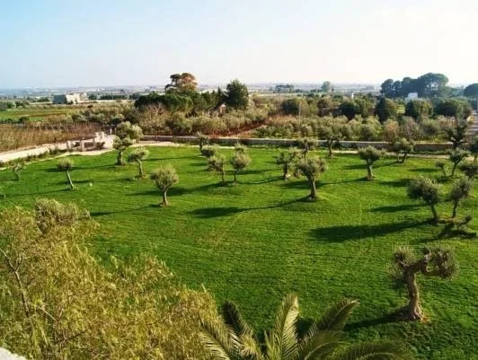 Tenuta Pinto