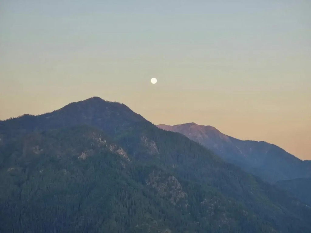 Ishan Log Huts-A boutique home stay