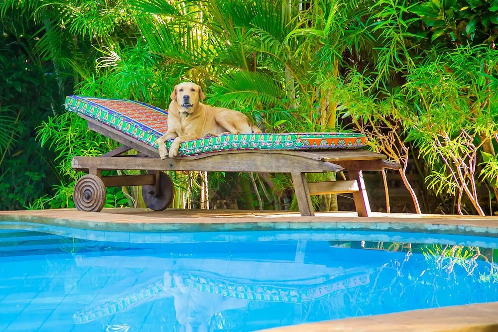 Charming 1-bed Cottage in Diani Beach 10min to bea