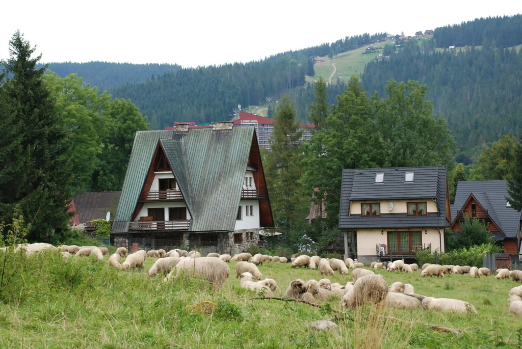 Domek Na Wierchu I Apartament Na Wierchu