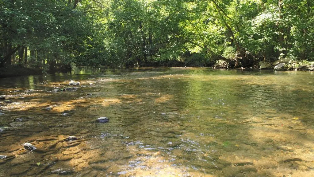 Yellow Cabin on the River