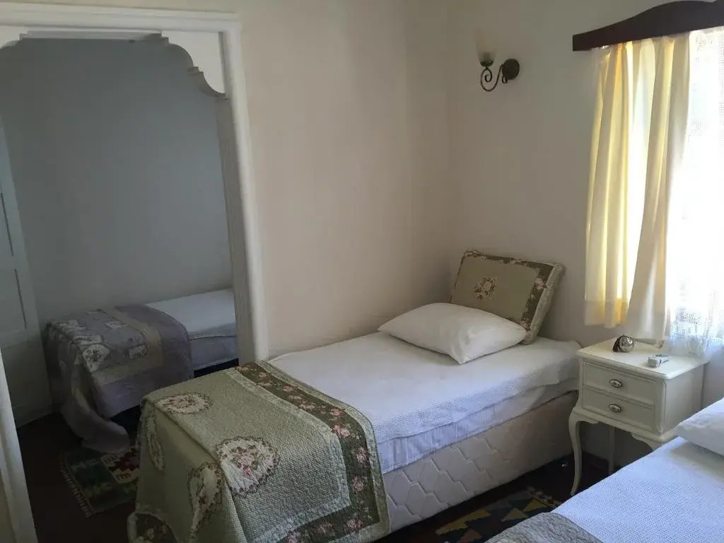 Zeytin Pension