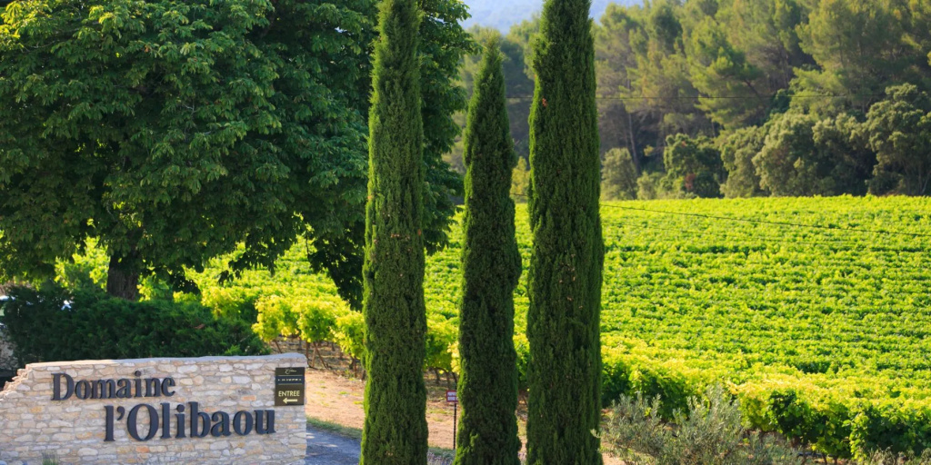 Chambres d'hôtes Domaine l'Olibaou