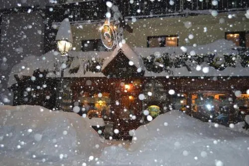 Hotel Perruquet