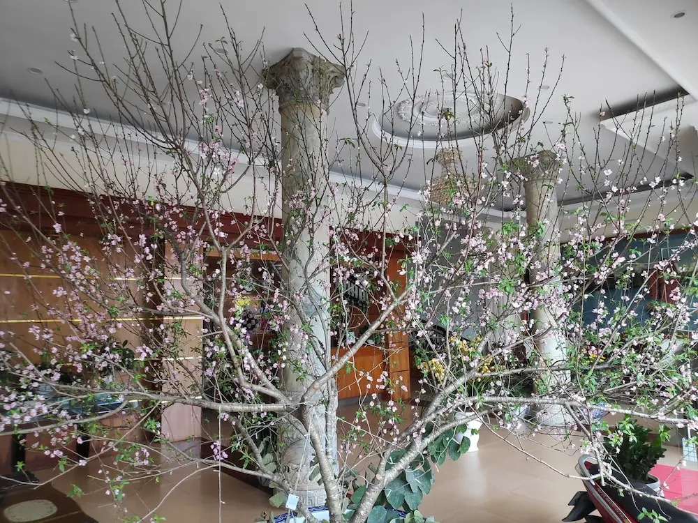 Ngoc Mai Hotel