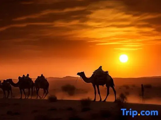Stay and Retreat Homestay