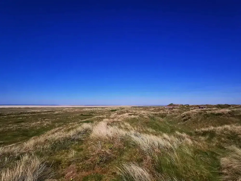 4 star holiday home in Fanø