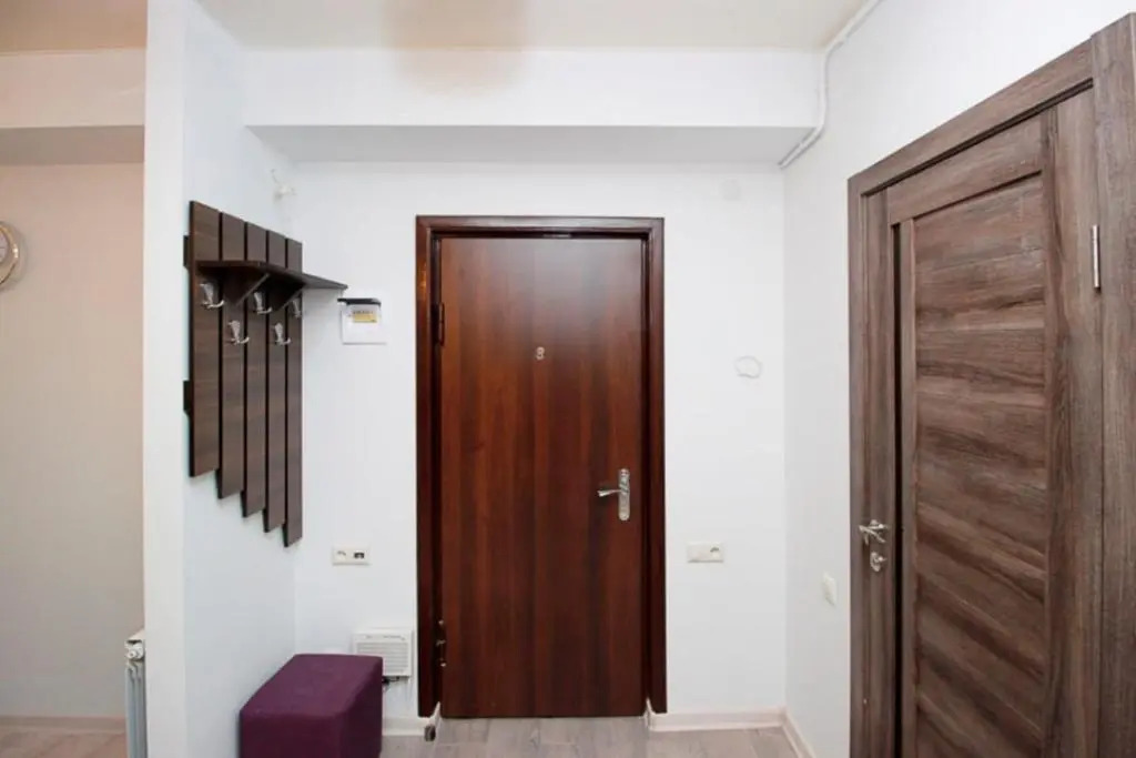 Excellent apartment in the Republic Square.Pushkin3