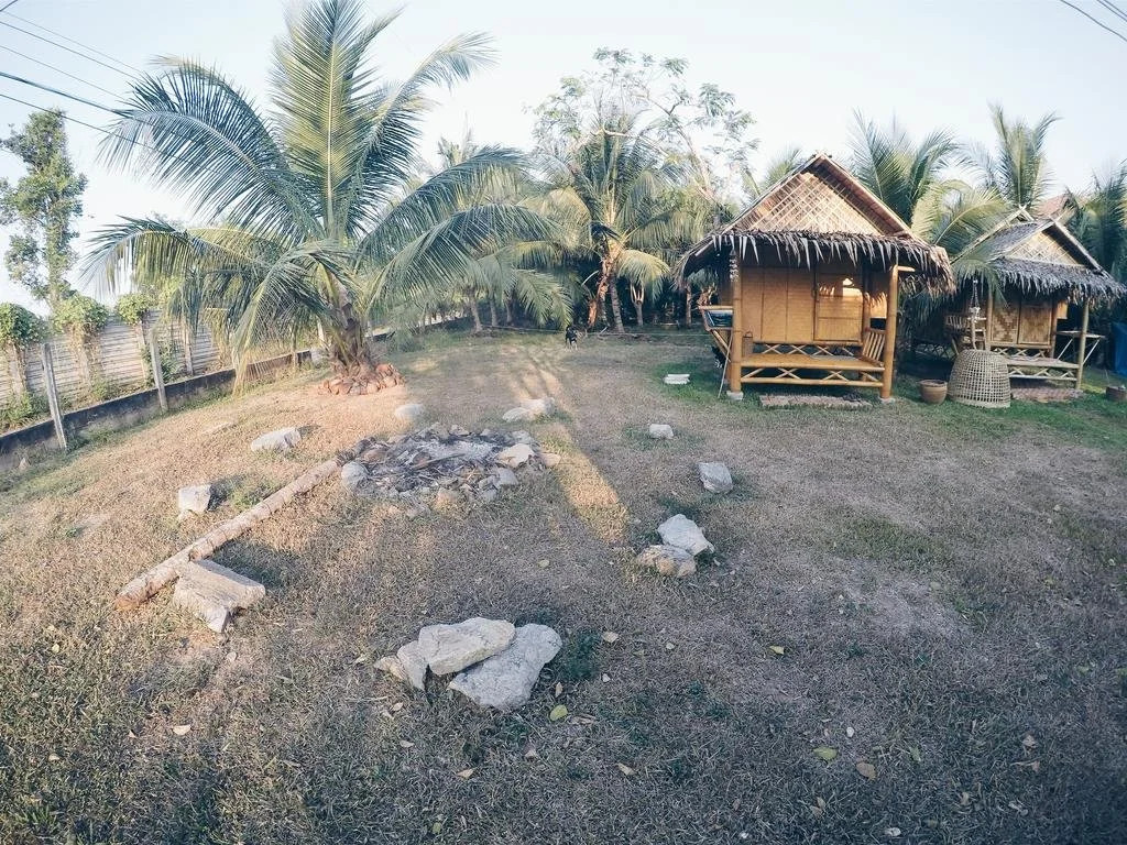 the banana cabins