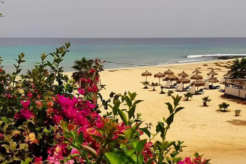 Beach penthouse with rooftopbar and Fiber WiFi, spectacular 180 degrees ocean view