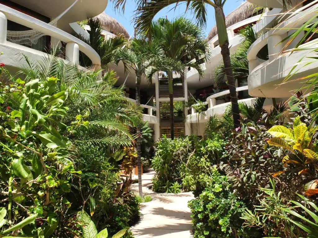 Playa Palms Beach Hotel