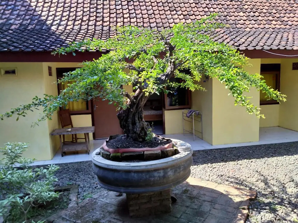 New Adinda Homestay