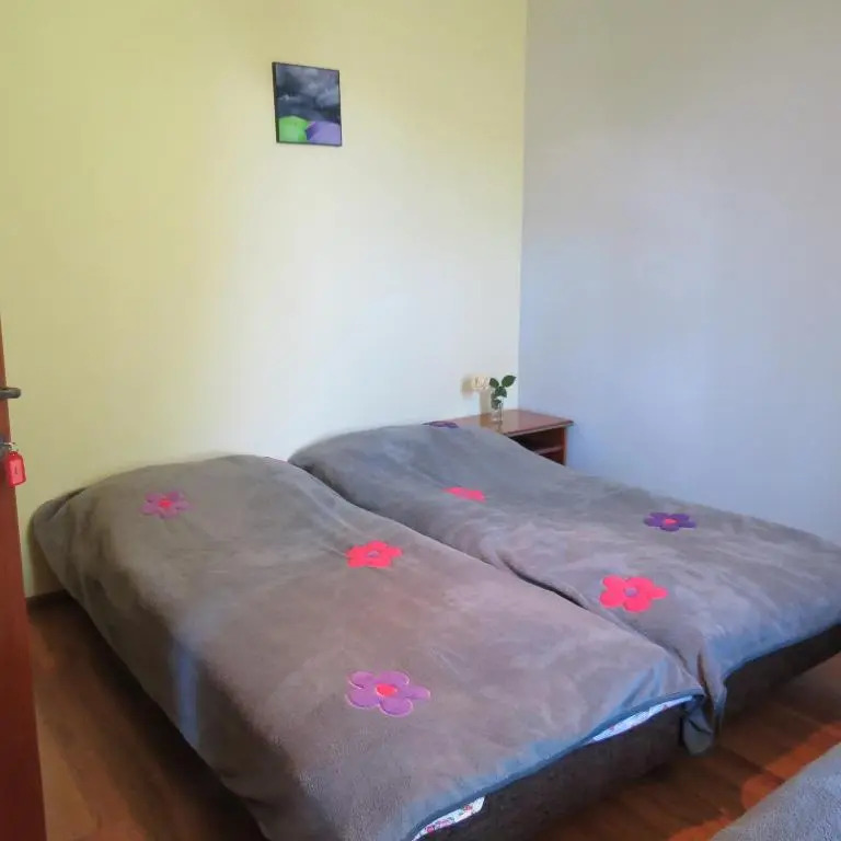 Tvishi Guest House
