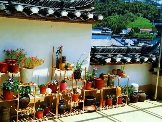 Qingyou Hostel