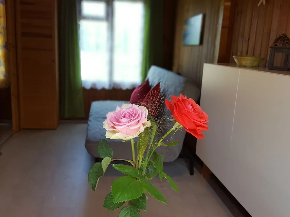 Charming Bungalow With Garden in Kühlungsborn