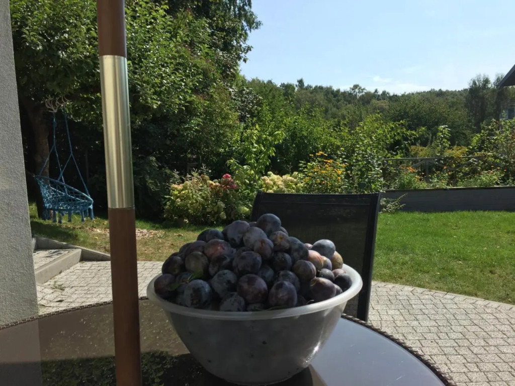 Apartamenty Miły - Gdynia Redłowo