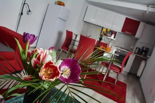 Dreamtime Apartments