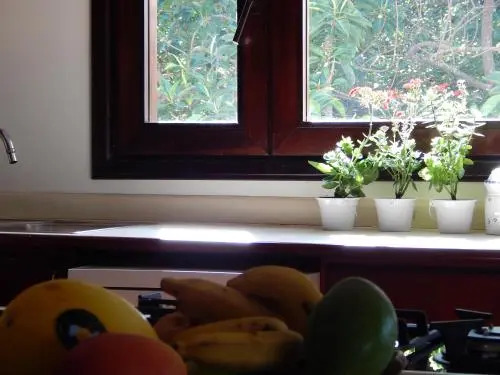 Casa Sophia Brasil