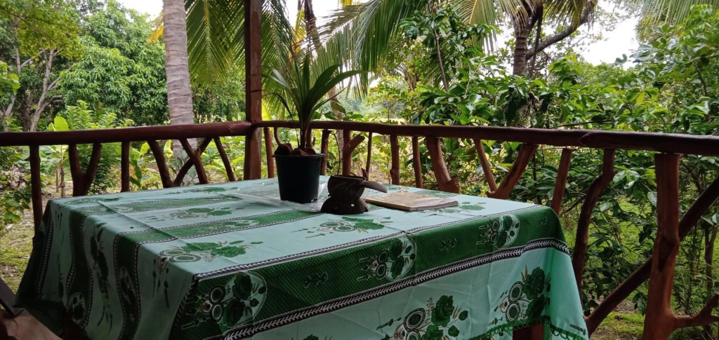 Sigiri Panaromic Tree House