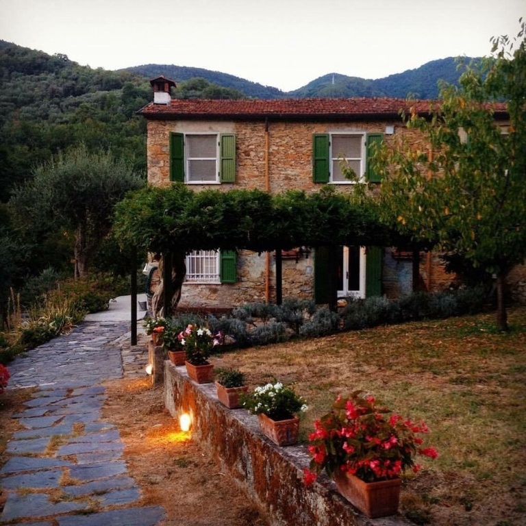 Celi di Luna