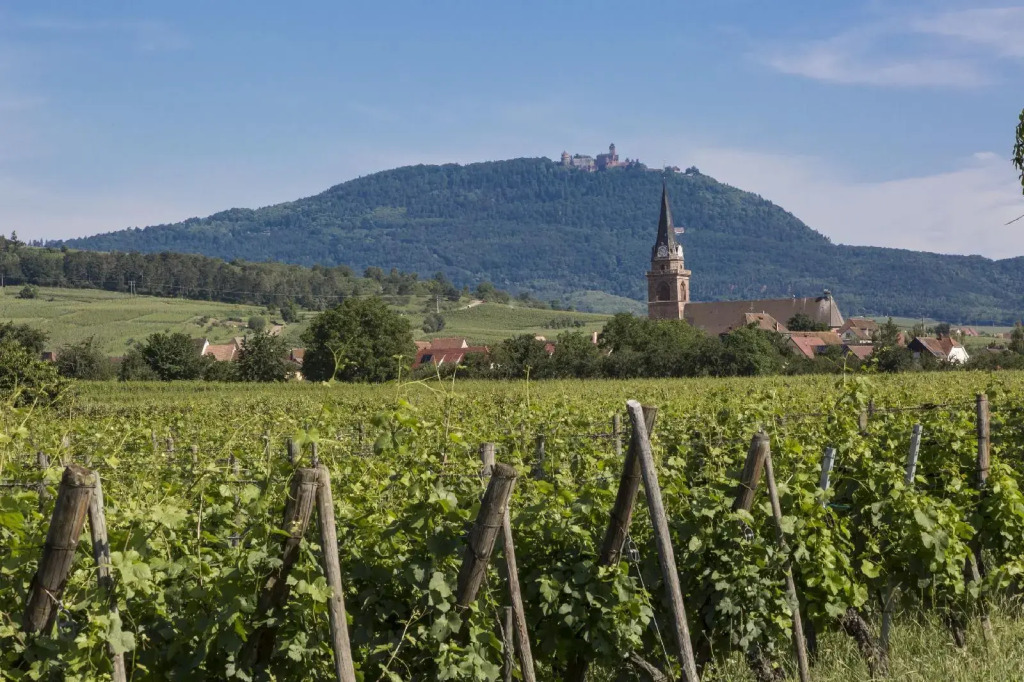 Résidence Odalys Le Domaine des Rois