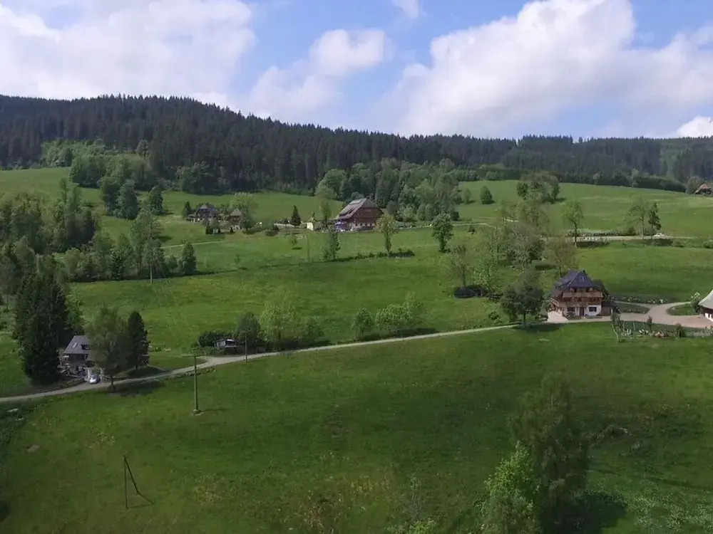 Holiday Apartment Tannenblick