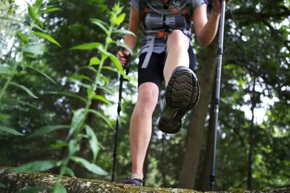 Chimo Refuges Treehouse Resort