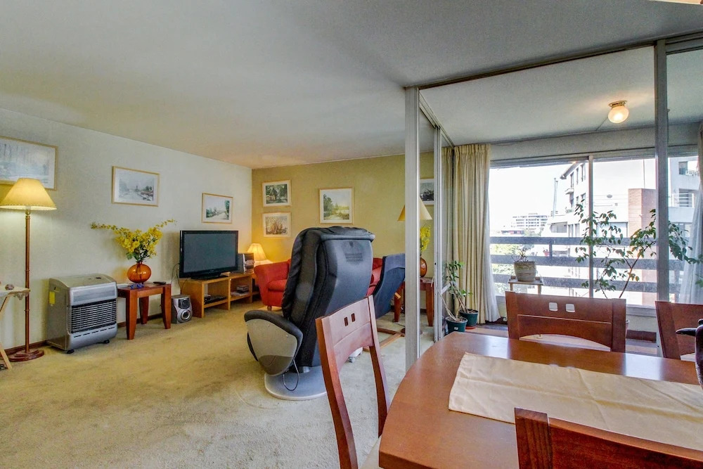 Acogedor departamento en providencia