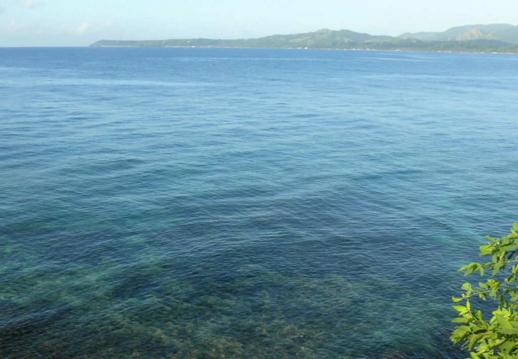 Bohol-Lahoy Dive & Beach Resort