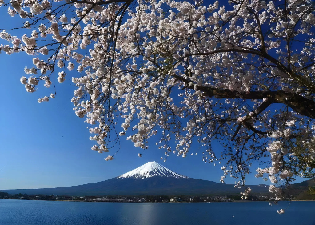 Cottage Tozawa Center