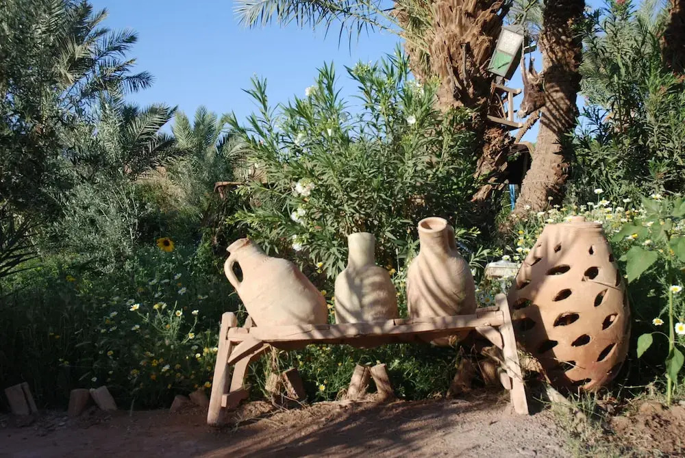 Paradise in the southern desert Morocco