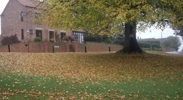 Crosshill House